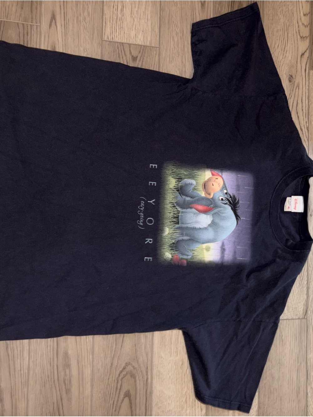 Disney Crewneck Tee - Slate Gray